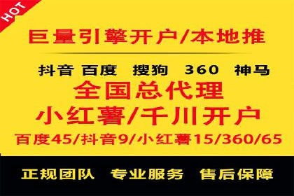 某电商平台的SEM推广实践与效果展示